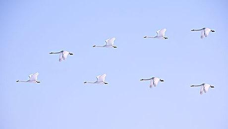 经典名作《Gimmick!》特别复刻版公开 追加新要素登多平台